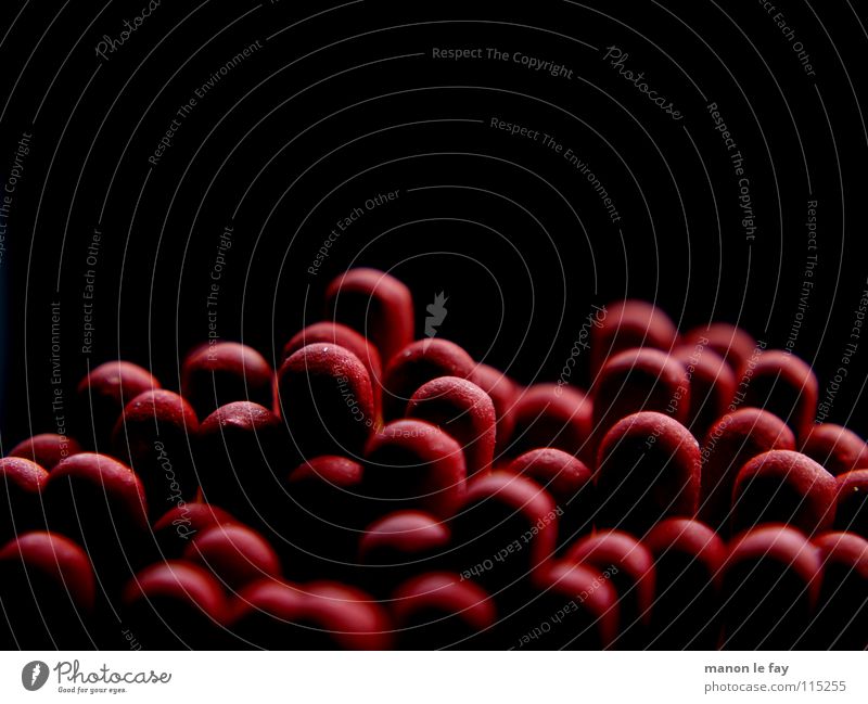 Sie kommen näher rot schwarz Streichholz Physik Schwefel Anhäufung rothaarig Makroaufnahme Nahaufnahme obskur Kaminhölzer Brand Wärme Flamme Gedränge Hitzköpfe