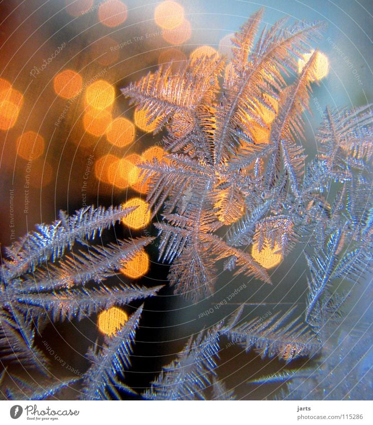 kalt und warm Winter Eis Frost Wärme Fenster Denken Vertrauen Eisblumen Eiskristall Physik Kristallstrukturen jarts Farbfoto mehrfarbig Innenaufnahme