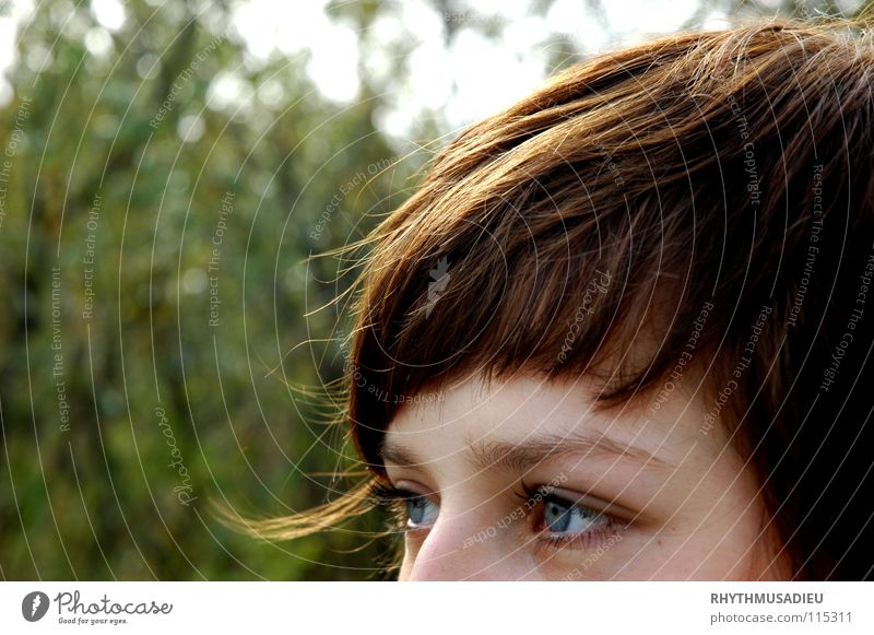 blaue augen brünett Locken grün Baum Sträucher Frau Blick Pony