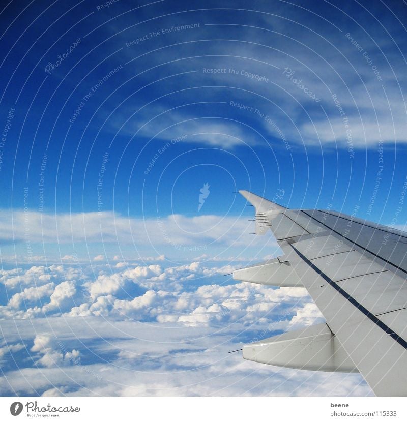 hoch hinaus Wolken Ferne Flugzeug weiß Portugal Überflug Luft Luftverkehr Himmel Niveau oben frei Freiheit Flügel blau oben drüber Ferien & Urlaub & Reisen