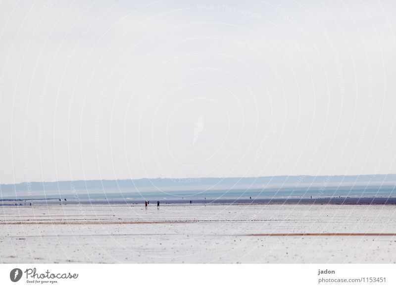 menschen und meer II. Erholung Ausflug Meer Wellen Mensch maskulin feminin Leben Umwelt Landschaft Luft Frühling Küste Strand Bucht Hafenstadt Fischerboot Pferd