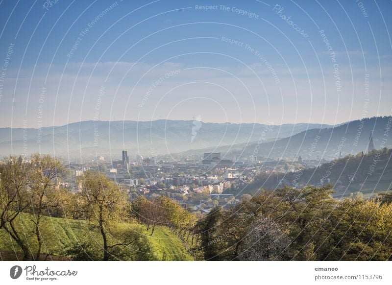 Freiburg im Frühling Ferien & Urlaub & Reisen Ausflug Städtereise Sommer Sonne Berge u. Gebirge Umwelt Natur Landschaft Pflanze Himmel Klima Wetter Wärme Baum