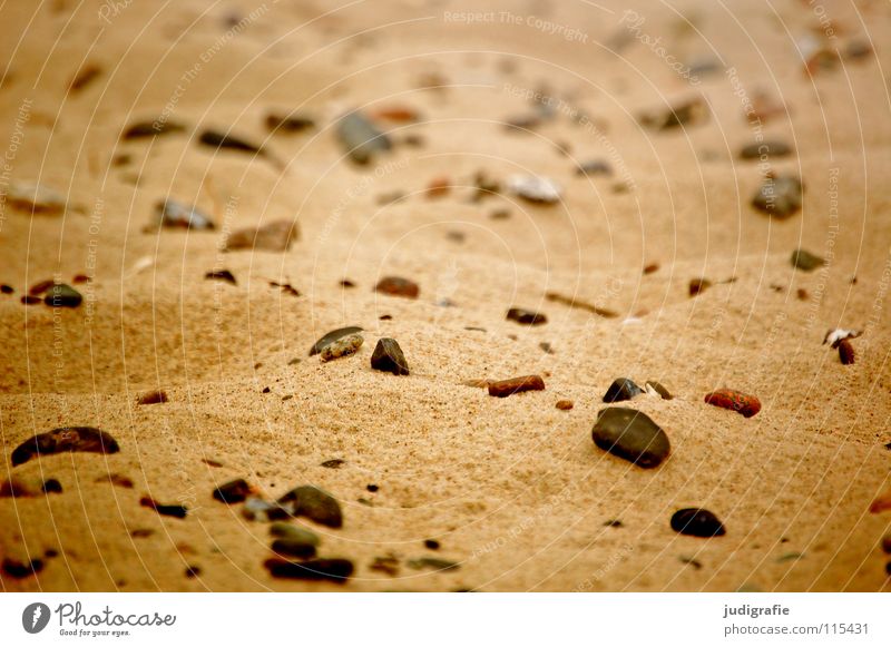 Sand und Steine Strand Meer See Küste fein Ferien & Urlaub & Reisen Oberfläche Farbe Punkt Strukturen & Formen Mars rau