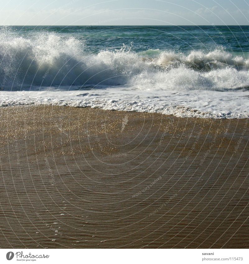 am Strand Erholung Freizeit & Hobby Ferien & Urlaub & Reisen Ferne Freiheit Sommer Sonnenbad Meer Wellen Natur Erde Sand Wasser Horizont Wärme Küste Bewegung