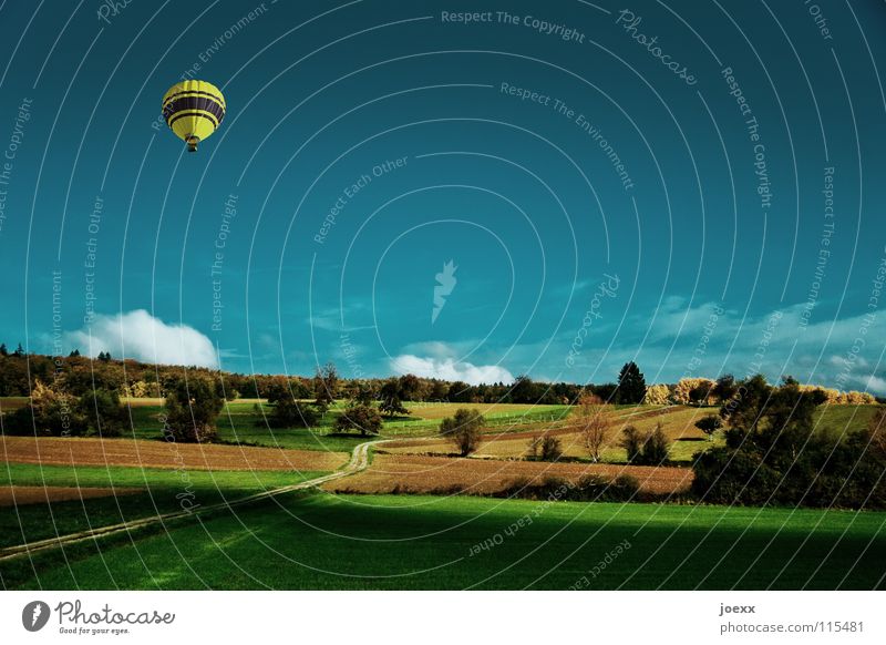 Zur Sonne, zur Freiheit aufsteigen Baum Feld gelb Gras grün Ballone himmelblau Landschaft Landwirtschaft Leichtigkeit Luft Flugzeug Lust Schweben Sommer ruhig