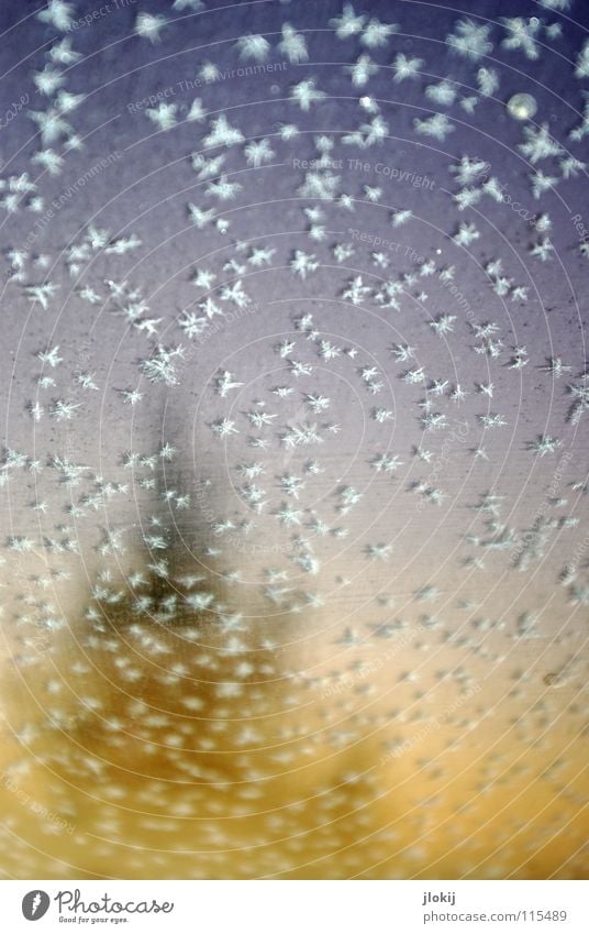 Gestöber Eiskristall Winter kalt frieren gefroren Baum Tanne Fenster Unschärfe Schnellzug Jahreszeiten dreckig Kratzer Kristallstrukturen Schnee Fensterscheibe