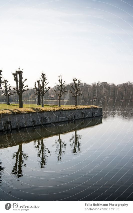 Baumreihe am Ufer Architektur Umwelt Natur Landschaft Pflanze Luft Wasser Himmel Frühling Seeufer Teich Moritzburg Deutschland Europa Mauer Wand Stein entdecken