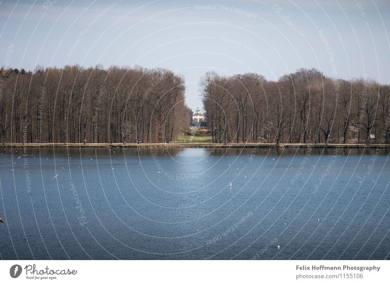 Blick aufs Fasanenschlösschen elegant Traumhaus Garten Architektur Kultur Natur Landschaft Wasser Frühling Park Wellen Seeufer Moritzburg Deutschland Europa