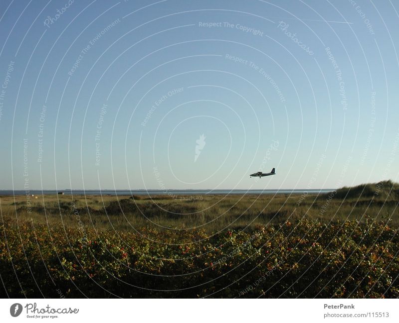 coming down Flugzeug Juist Strand grün Sträucher Küste klein Flugzeuglandung Verkehr Meer Gras ruhig gestört Tragfläche Überflug Güterverkehr & Logistik