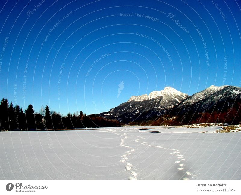 Winter Spuren Schneespur Spaziergang Schneelandschaft Tiefschnee Pulverschnee Wintersport weiß Berge u. Gebirge Landschaft Fluss Himmel blau