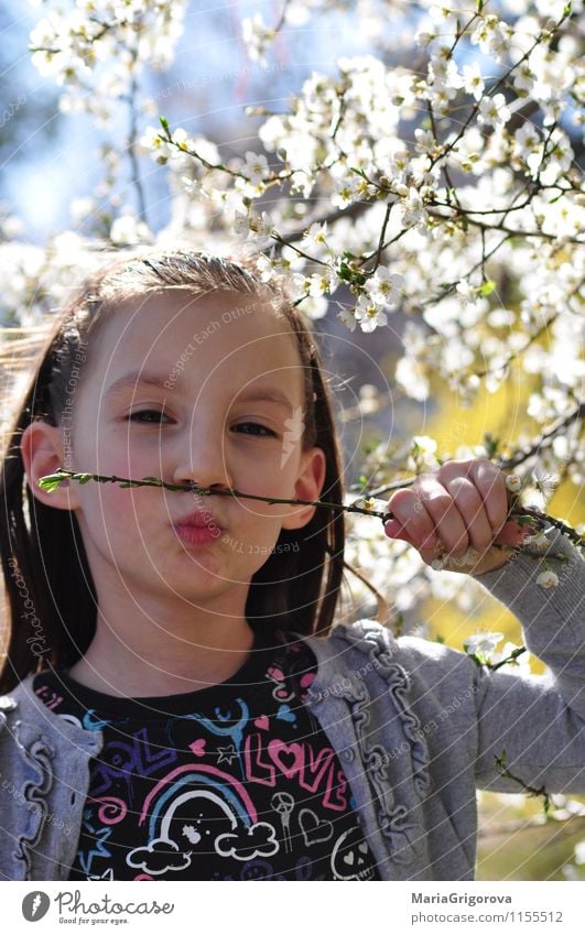 Kleines Mädchen, das Frühling genießt Lifestyle Mensch Körper 1 3-8 Jahre Kind Kindheit Natur Urelemente Sonne Sonnenlicht Baum Park Gefühle Freude Fröhlichkeit