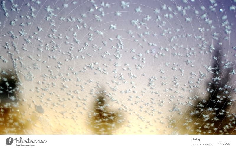 Gestöber II Eiskristall Winter kalt frieren gefroren Baum Tanne Fenster Unschärfe Schnellzug Jahreszeiten dreckig Kratzer Kristallstrukturen Schnee