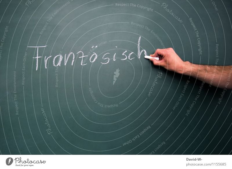 Französisch Design Bildung Schule lernen Klassenraum Tafel Schulkind Schüler Lehrer Mensch Kindheit Jugendliche Hand schreiben Leistung üben Fremdsprache