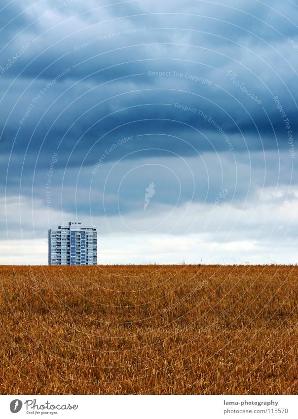 Wolken-Reich Ernte Weizen Ähren Feld Kornfeld Gerste Landwirtschaft Bauernhof Herbst Fußweg Wiese Spurrinne ländlich Unwetter schlechtes Wetter Sturm Donnern