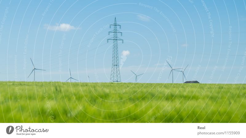 Stromerzeugung Technik & Technologie Energiewirtschaft Erneuerbare Energie Windkraftanlage Umwelt Natur Landschaft Himmel Frühling Gerste Gerstenfeld Feld