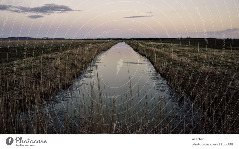 Tangente Umwelt Natur Landschaft Pflanze Wasser Himmel Wolken Horizont Sonnenaufgang Sonnenuntergang Frühling Wetter Schönes Wetter Gras Wiese Hügel Küste blau