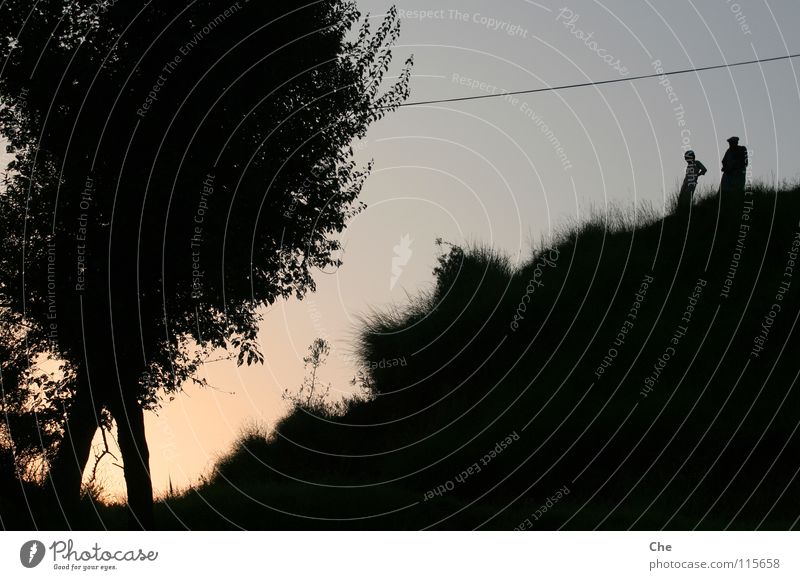 Der alte Mann und sein Enkel Pakistan Sonnenuntergang gebeugt dunkel Baum Gras Blatt ausgefranst schwarz Silhouette Kabel Publikum Abend Langeweile Asien