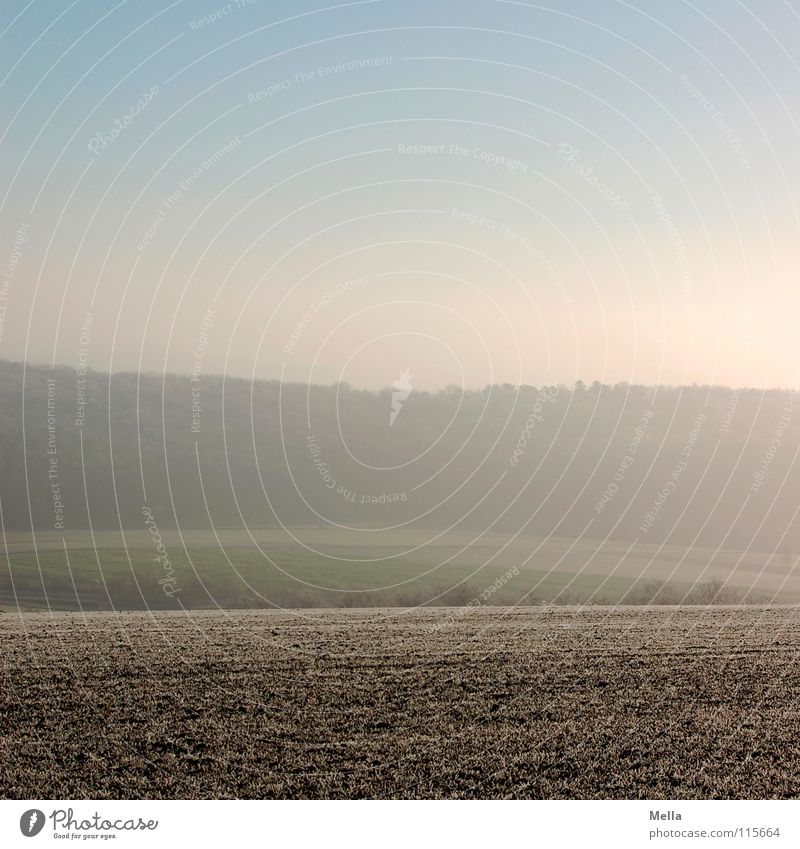 Kalte Morgenstund kalt Winter Raureif Eis Nebel schlechtes Wetter Feld Wiese Wald Baum erdig Klirren Luft frisch grün braun weiß Zeit Ferne Jahr Jahreszeiten