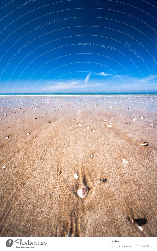 auf dem weg zum meer. Ferien & Urlaub & Reisen Tourismus Ferne Natur Landschaft Himmel Küste Strand Bucht Meer Atlantik krabbeln blau Zufriedenheit Stimmung