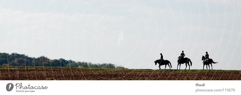 3 PS Feld Silhouette Ausflug Kurzurlaub Ausritt Pferd Reiter Freizeit & Hobby Reitsport Reiten galoppieren laufen unterwegs Ferien & Urlaub & Reisen Natur