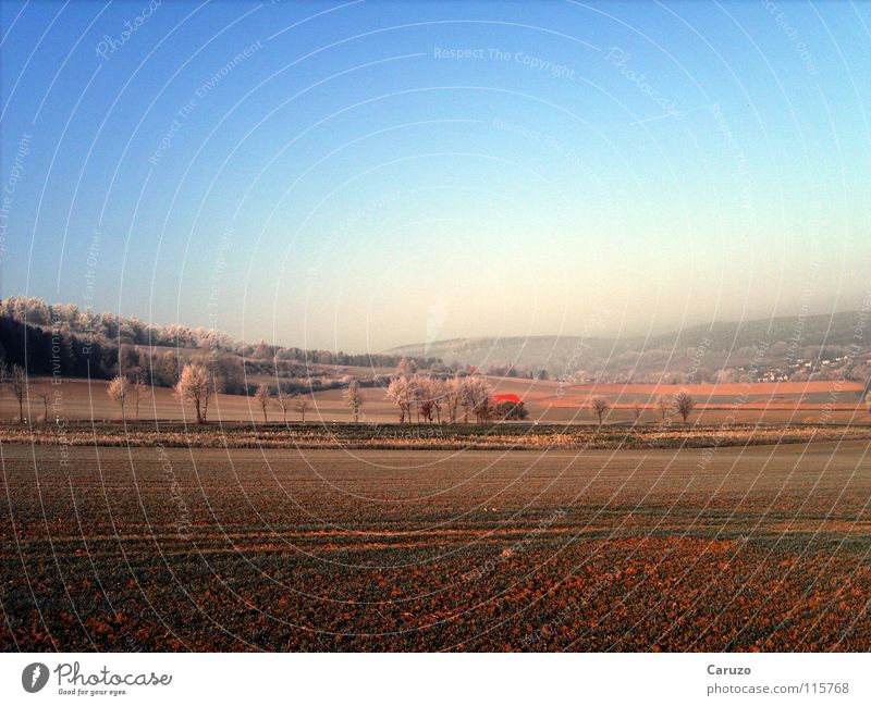 Landstraße Winter kalt Feld Wald Haus Baum frieren Obdachlose Wiese braun schön Ferne Heimat Frost Amerika Straße Hütte Wege & Pfade Aussicht Himmel blau