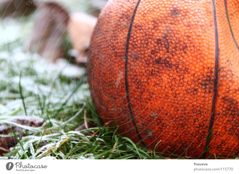 einsamer ball Gras vergessen Einsamkeit Winter rund gefroren Blatt Raureif Eis kaputt Sport Spielen Farbe Ball Basketball Strukturen & Formen Kugel Linie frozen