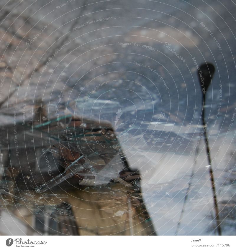 broken fragments Scherbe kaputt Fenster grau kalt Reflexion & Spiegelung Baum Himmel Haus Laterne Quadrat Mittelformat chaotisch Winter Architektur shards