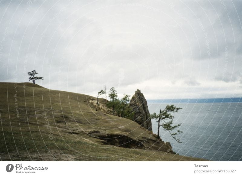 Olchon Insel Landschaft Erde Wasser schlechtes Wetter Baum Abenteuer Seeufer baikalsee Felsen Farbfoto Außenaufnahme Menschenleer Tag