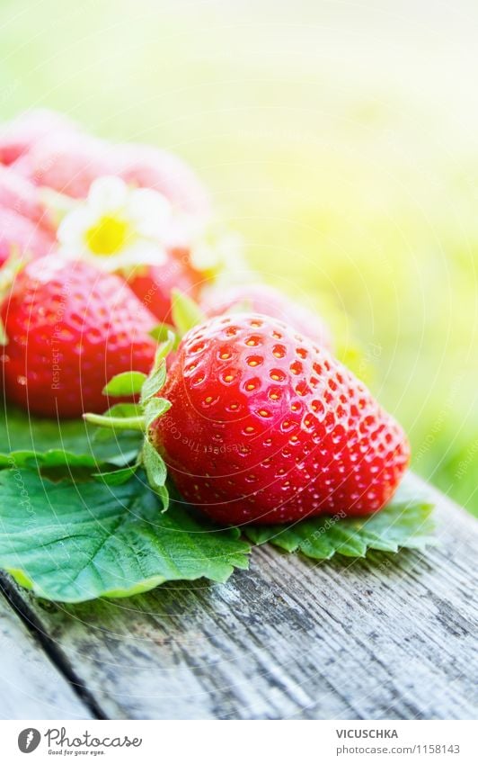 Erdbeeren Saison Frucht Dessert Stil Design Gesunde Ernährung Leben Sommer Garten Natur Sonnenlicht Schönes Wetter Hintergrundbild Vitamin Bioprodukte