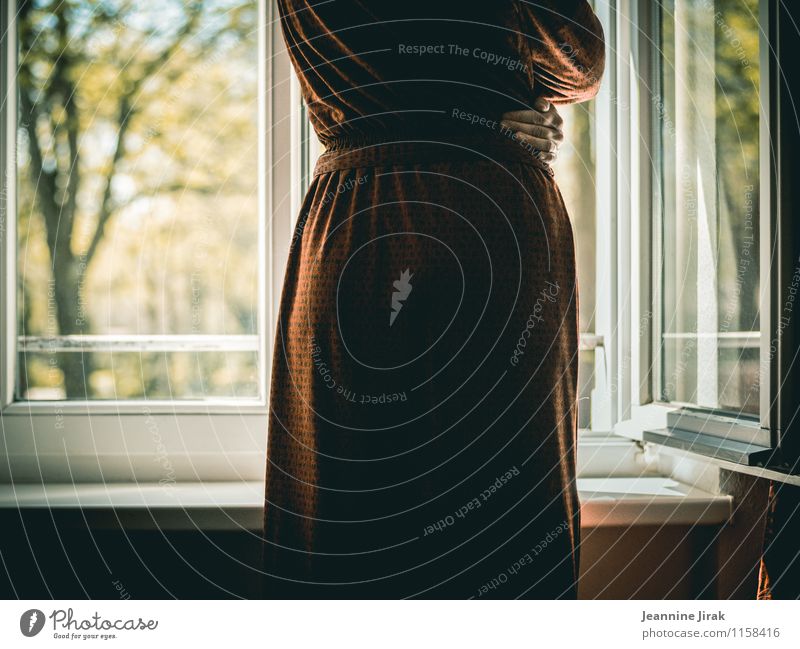 Aussicht Raum Fenster feminin Frau Erwachsene Hand 1 Mensch 30-45 Jahre Natur Baum Park Kleid Stoff Glas festhalten Blick stehen dünn rot Stimmung ruhig