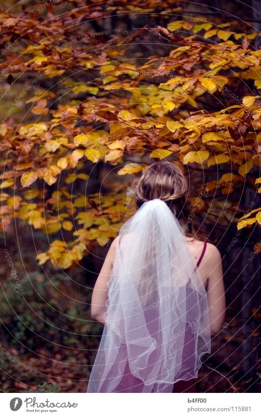 Herbsthochzeit?! Schleier rot weiß braun gelb Blatt Wald Baum zart Vorsicht Kleid gesichtslos fremd Trauer Hoffnung Frau orange fallen färben Ast