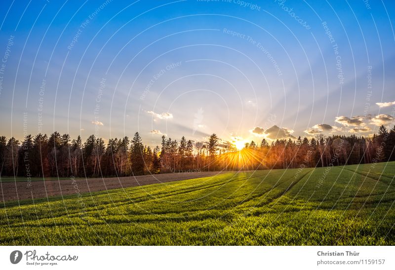 Erste Sonnenstrahlen Wellness Leben harmonisch Wohlgefühl Zufriedenheit Sinnesorgane Erholung ruhig Meditation Duft Ferien & Urlaub & Reisen Tourismus Ausflug