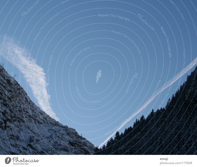 \/ Flugzeug Wolken Schönes Wetter Wald Holzmehl Natur Winter Morgen Panorama (Aussicht) Tourismus Tourist Schweiz Berge u. Gebirge V blau Himmel Blauer Himmel