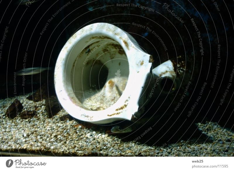 Kloschüssel im Wasser Toilette Aquarium Dinge Sea Live