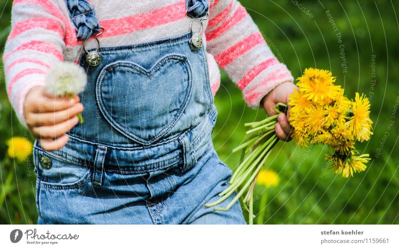 Muttertag | Mother's Day harmonisch Ausflug Feste & Feiern Geburtstag Kindererziehung Kindergarten Mensch feminin 1 1-3 Jahre Kleinkind Frühling Schönes Wetter