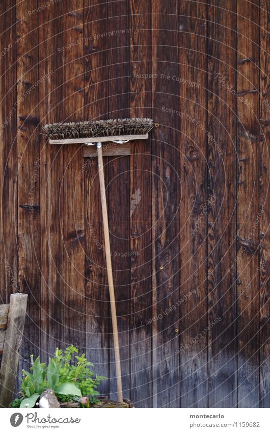 große kehrwoche Umwelt Natur Pflanze Grünpflanze Besen Besenstiel Borsten Holz dünn lang natürlich retro stachelig trocken Wärme braun Farbfoto mehrfarbig