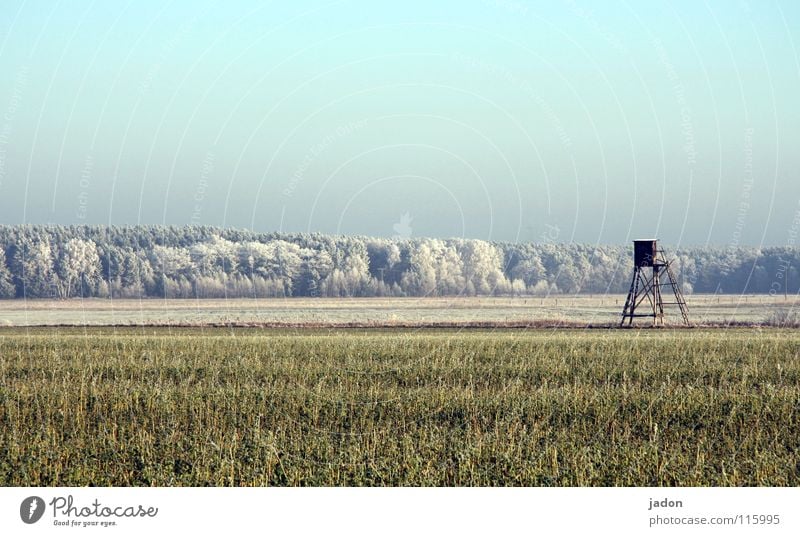 Winteranfang Feld Wald Raureif Baum Hochsitz kalt Panorama (Aussicht) ruhig Brandenburg Himmel Frost Schönes Wetter Ferne Schnee