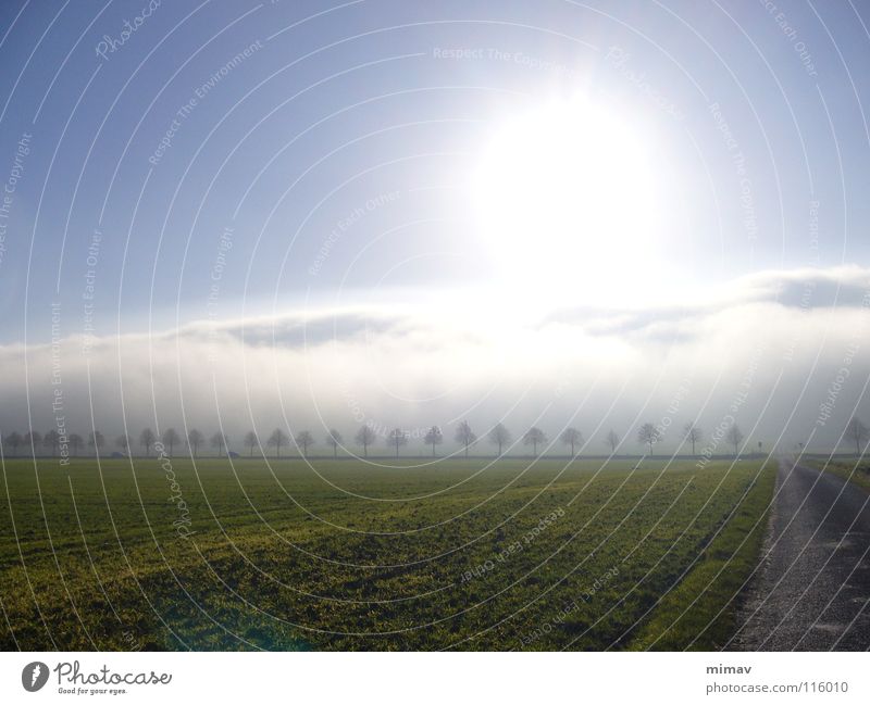 Da war was los an dem Tag Nebel Baum grün Feld Sonne leer Berge u. Gebirge WetterWolken Straße