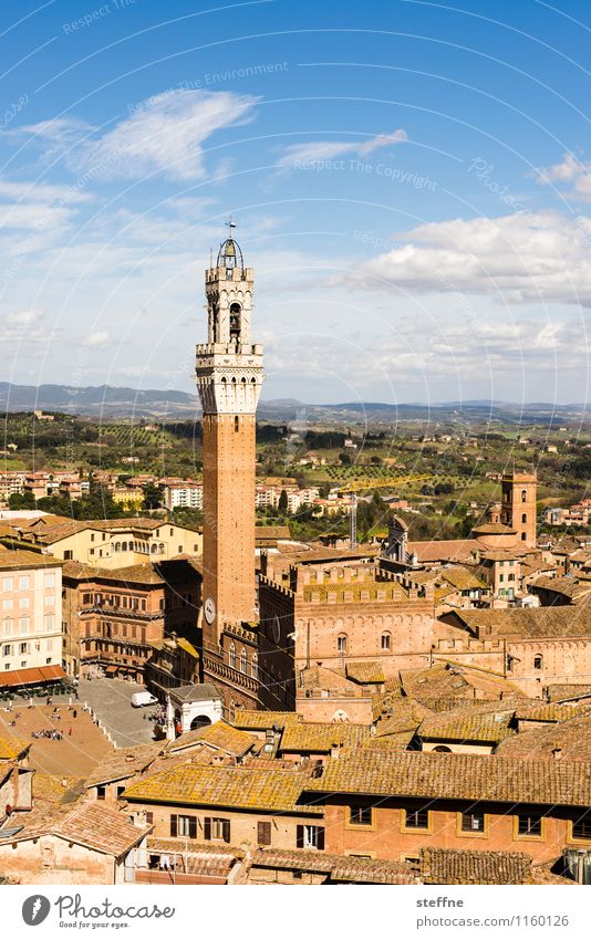 Siena Kleinstadt Altstadt Ferien & Urlaub & Reisen Toskana Italien torre del mangia Schönes Wetter Farbfoto Außenaufnahme Textfreiraum oben Vogelperspektive