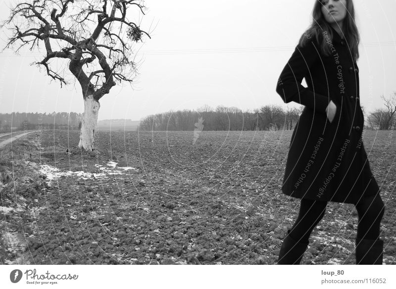 oT Frau Einsamkeit schwarz Baum Apfelbaum Feld Mantel Schwarzweißfoto Winter Landschaft Natur Mistelzweig Traurigkeit