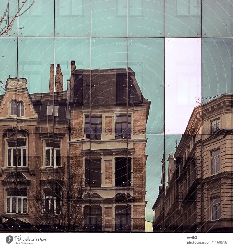 Gebäudescanner Himmel Baum Zweig Halle (Saale) Deutschland Stadt Stadtzentrum bevölkert Haus Mauer Wand Fassade Fenster Dach Stein Glas beobachten eckig groß