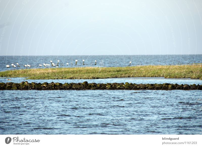 An der Nordseeküste Ferien & Urlaub & Reisen Tourismus Ausflug Sommer Sommerurlaub Natur Landschaft Pflanze Wasser Schönes Wetter Wellen Küste Schifffahrt blau