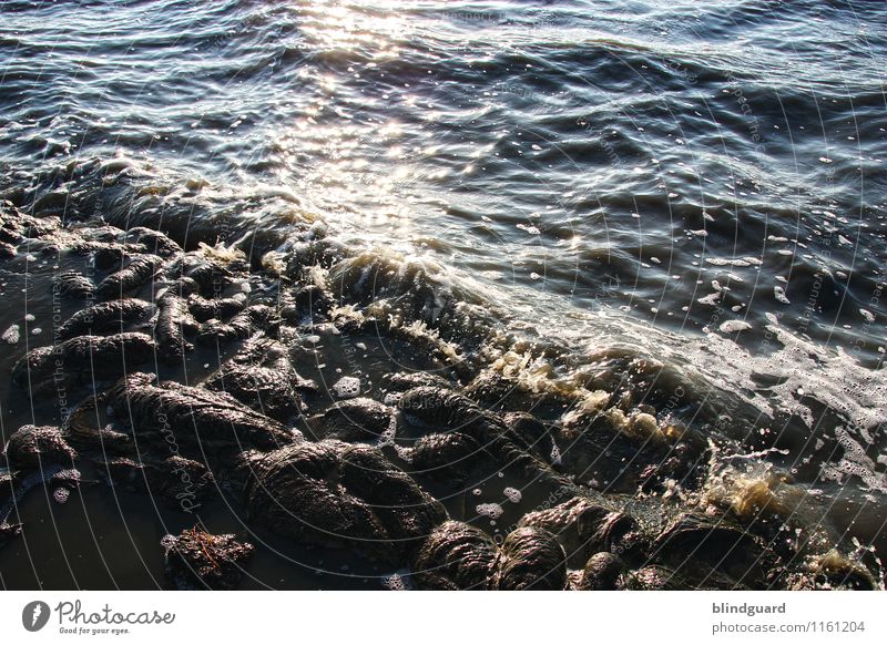 High Tide Ferien & Urlaub & Reisen Sommer Sonne Strand Meer Umwelt Natur Wasser Wassertropfen Klima Schönes Wetter Wind Wellen Küste Nordsee Stein