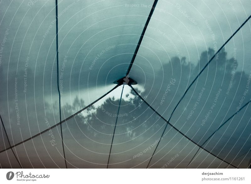 Pool Überdachung. Mit gedämpften Sonnenlicht. Design Erholung Freizeit & Hobby Schwimmbad Sportstätten netzartig Umwelt Wolkenloser Himmel Schönes Wetter