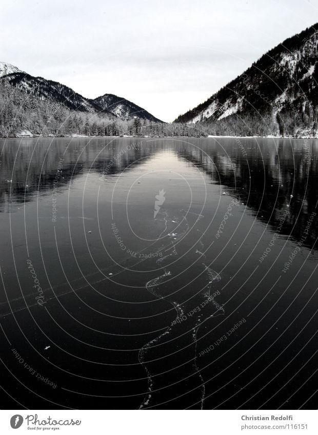 frozen I Schlittschuhlaufen Winter See Schlittschuhe Furche Gebirgssee Reflexion & Spiegelung Eislauf Landschaft Eislaufplatz Schnee Plansee Wasser Gefrohren