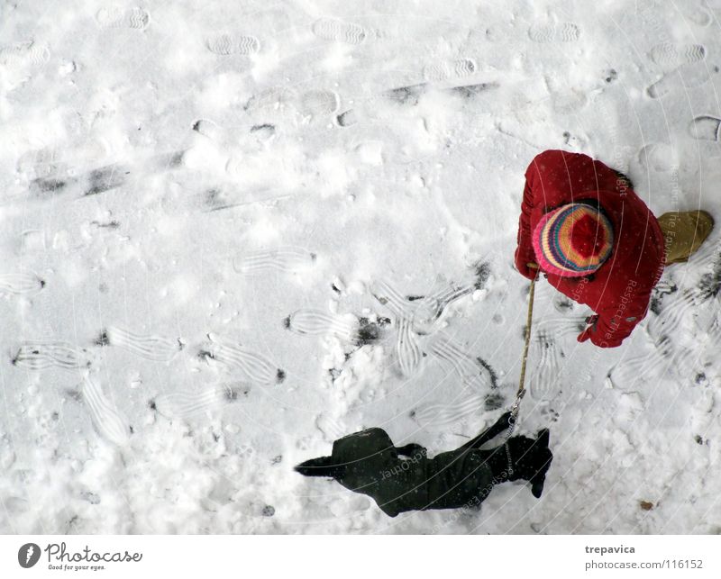 frau und hund III Reihe Winter Hund weiß kalt rot schwarz Dezember Tier Haustier 2 Freundschaft Spaziergang gebunden angekettet Zusammensein Partnerschaft