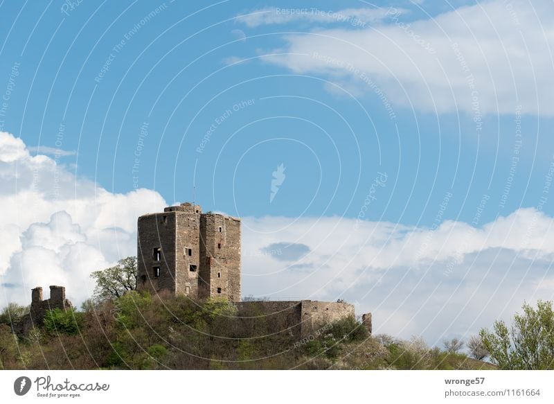 Burg Arnstein | Erinnerung Tourismus Harkerode Deutschland Sachsen-Anhalt Europa Burg oder Schloss Ruine Gebäude Burgruine Palas Turmburg Sehenswürdigkeit