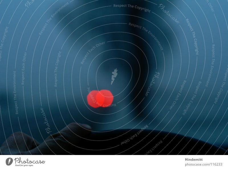 Anhalten. Innehalten. fahren Rücklicht Bremslicht Baum Hand Finger stoppen wegfahren schwarz rot dunkel Dämmerung Nebel ruhig kalt Eis Winter Trauer Denken Wut