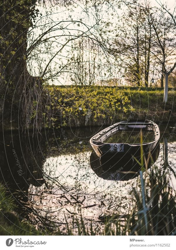 leak Umwelt Natur Wasser Efeu Farn Park Seeufer Flussufer Schifffahrt Fähre Fischerboot Ruderboot alt fluten Spree Dahme-Spreewald Märchenlandschaft