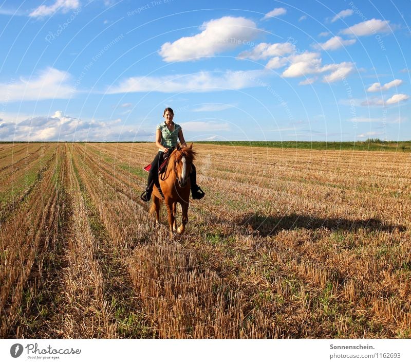 Sommerausritt Lifestyle Freude Glück harmonisch Wohlgefühl Zufriedenheit Freizeit & Hobby Reiten Ferien & Urlaub & Reisen Reitsport feminin Junge Frau